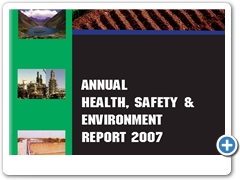 24-Title Annual HSE report